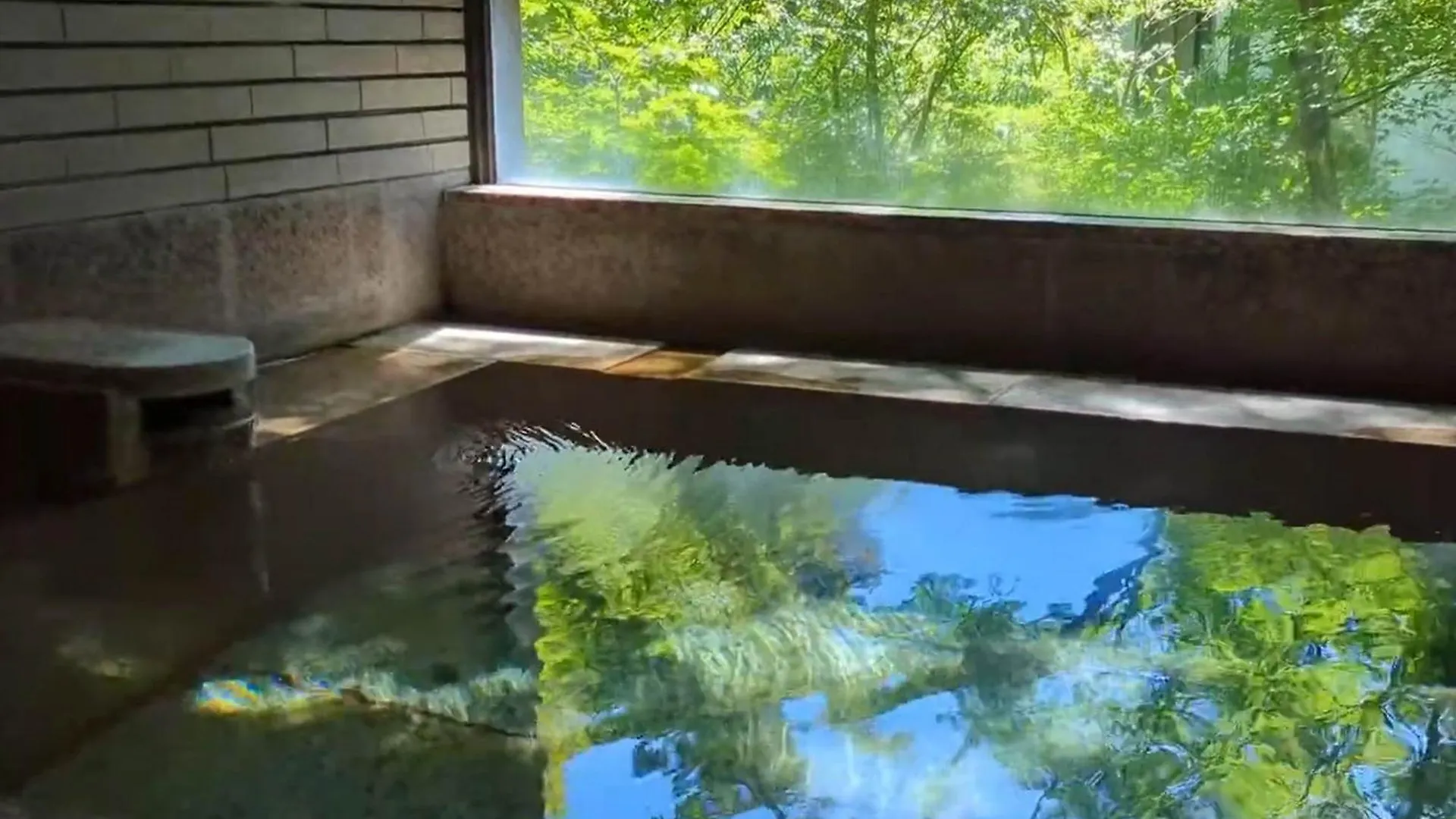 Hotel Ryuguden Hakone Ryokan