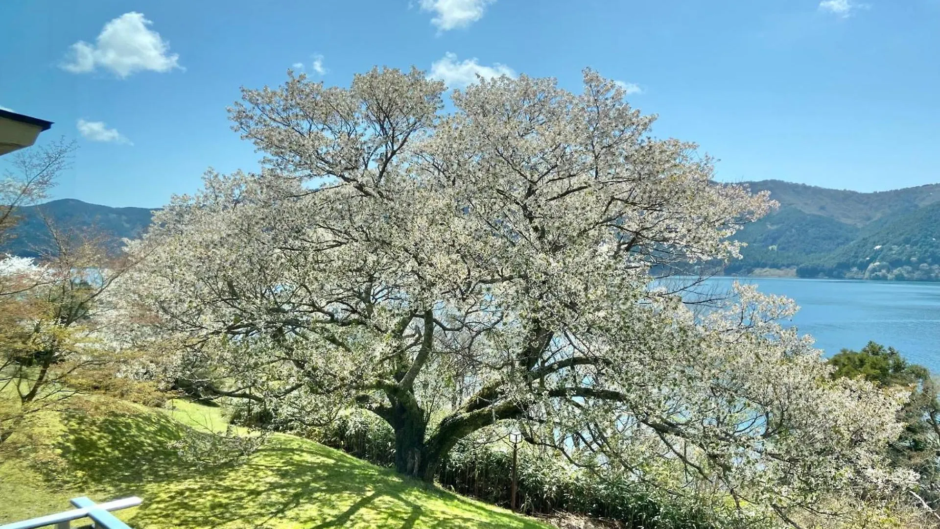 箱根 龙宫殿日式旅馆酒店 传统日式旅馆